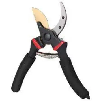 Black Pruning Shears